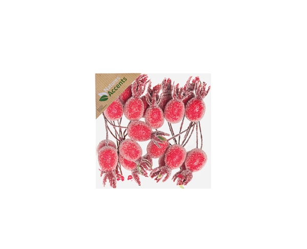 Rosehips Frosted on Wire in box Red 5cm