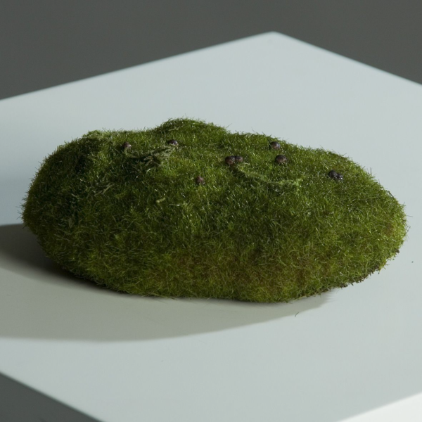 Moss Sponge stones 10cm