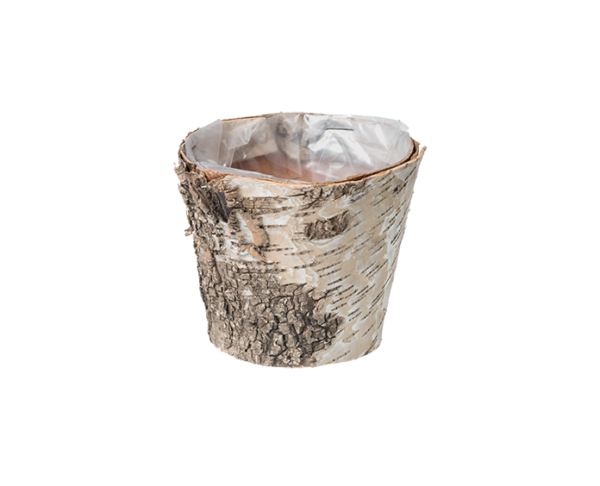 Pot Birch Bark Assorted Sizes