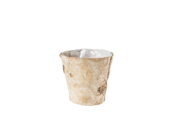 Pot Birch Bark Assorted Sizes