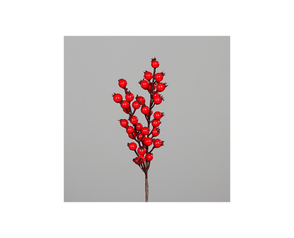 Rose Hip Pick Red 30cm