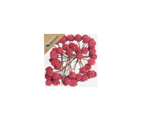 Raspberries Foam on Wire Red