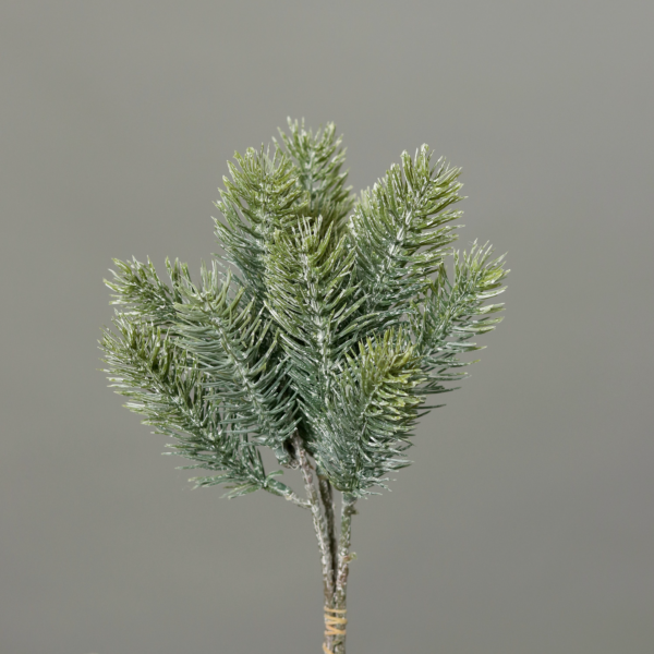 Fir Pick x3stems 28cm